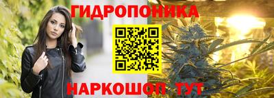 шишки Малоярославец