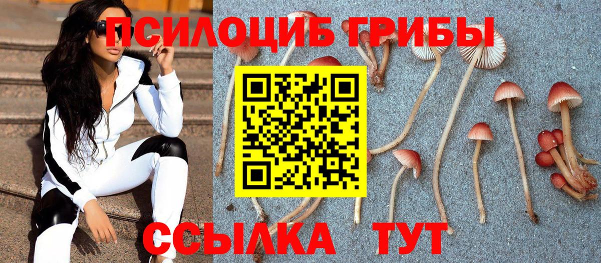 Галлюциногенные грибы мухоморы Черняховск