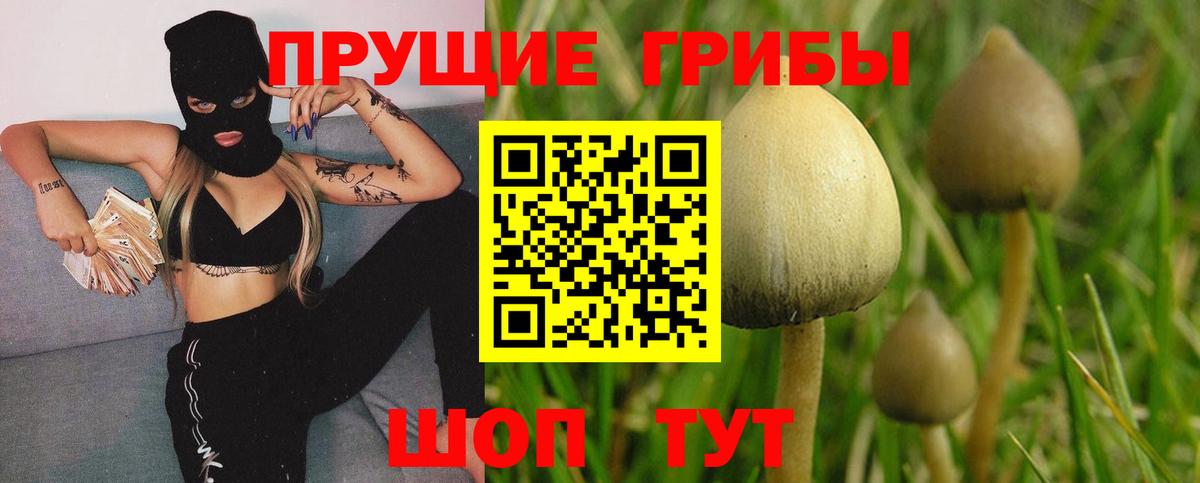 Галлюциногенные грибы Magic Shrooms  Вход с VPN  где продают   Черняховск 